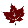 Leaf Icon